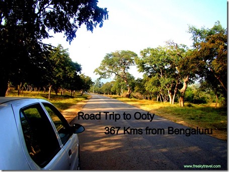 Road trip to ooty