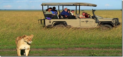 safari-serengeti-national-park-africa