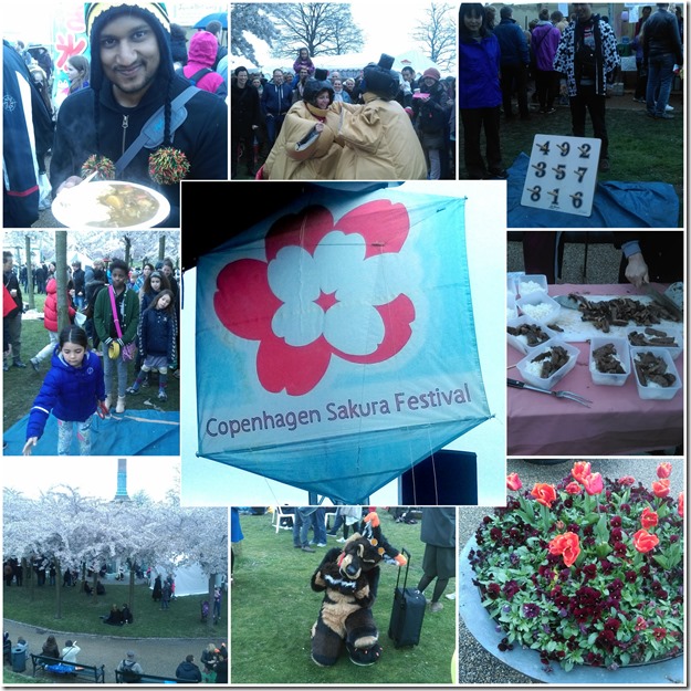 Copenhagen Sakura Festival