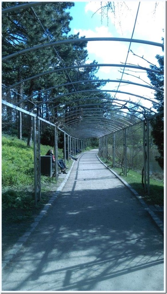 Rosenberg Castle Garden 5